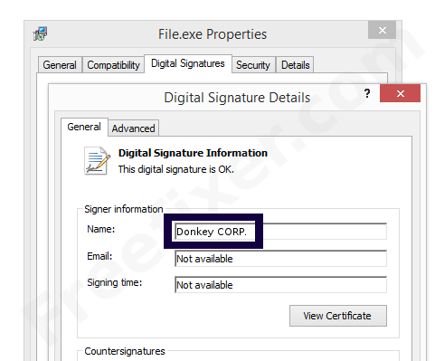 Screenshot of the Donkey CORP. certificate